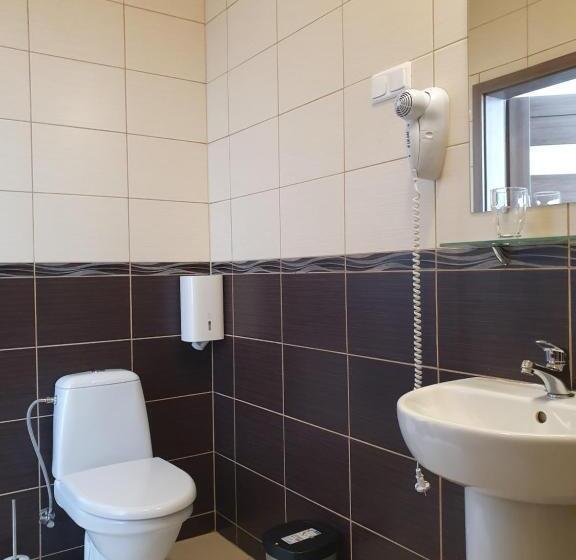 اتاق استاندارد یک نفره, Svetainė