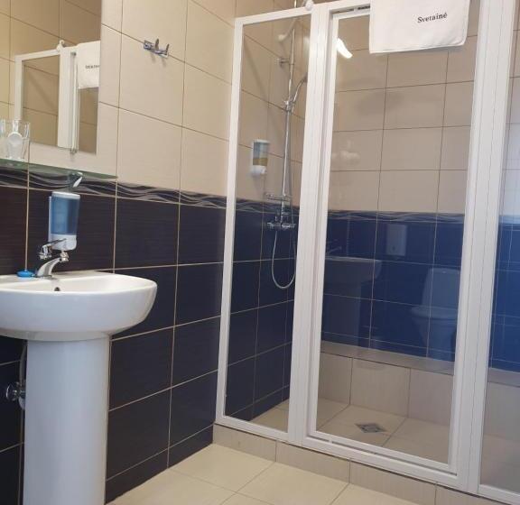 اتاق استاندارد یک نفره, Svetainė