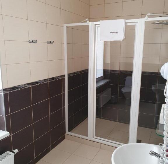 اتاق استاندارد, Svetainė