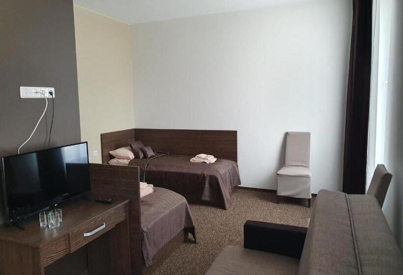 اتاق لوکس چهار تخته, Svetainė