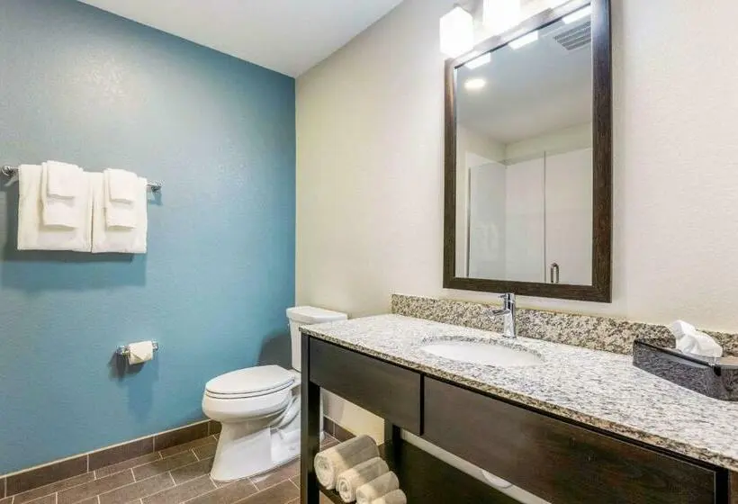 キングサイズベッドのスタンダードルーム, Sleep Inn Winfield  Teays Valley