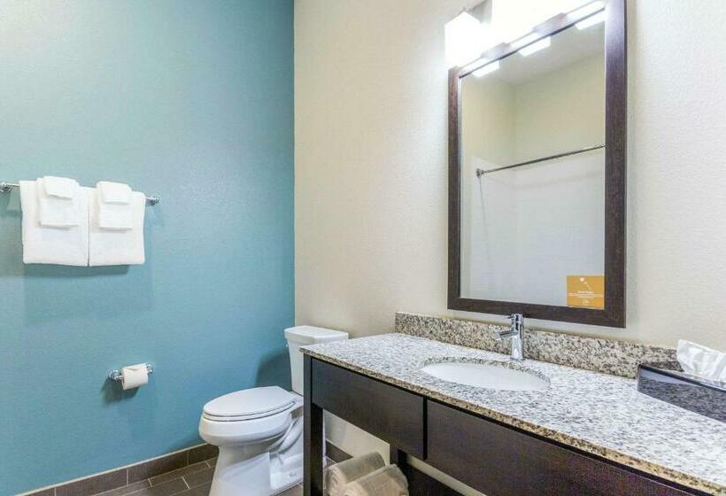 غرفة قياسية, Sleep Inn Winfield  Teays Valley