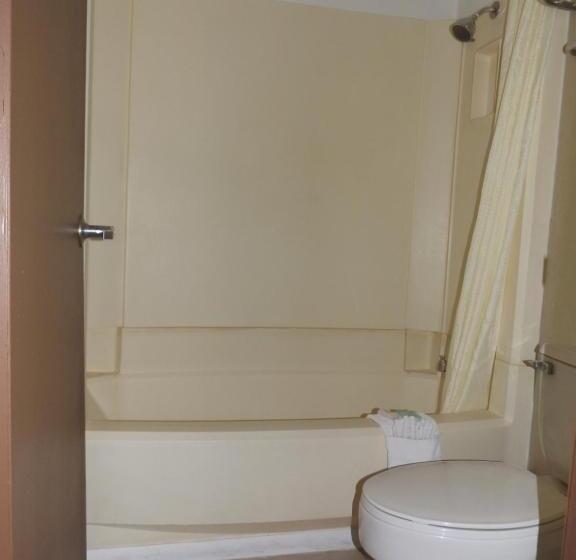 Номер Deluxe, Regency Inn