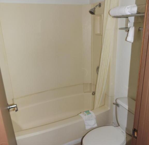 Номер Deluxe Кровать Кинг, Regency Inn