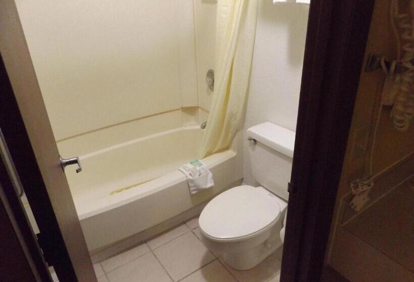 Номер Deluxe, Regency Inn