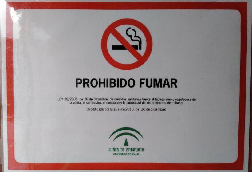 اتاق استاندارد, Pensión Larra