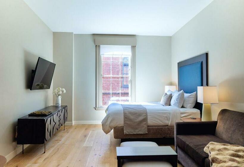 חדר סטודיו סטנדרד, The Docent S Collection