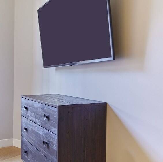 דירת שני חדרים, The Docent S Collection