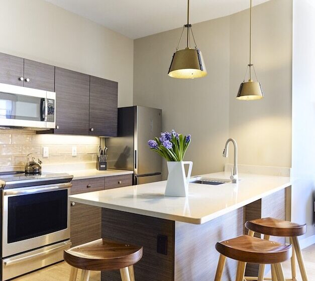 דירת חדר, The Docent S Collection