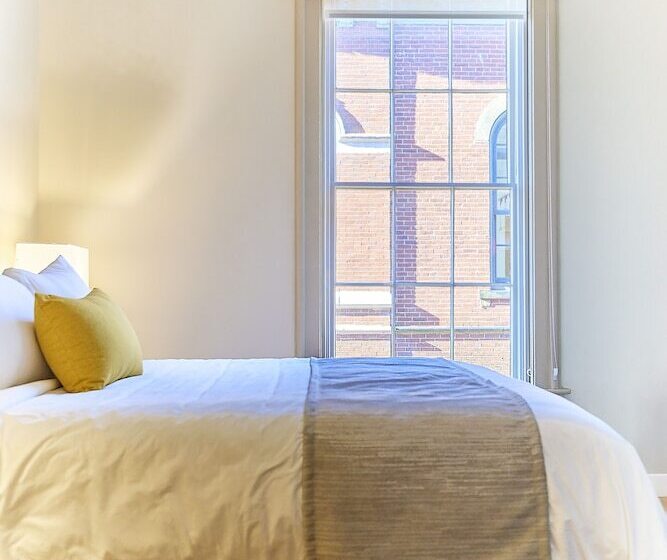 דירת חדר, The Docent S Collection