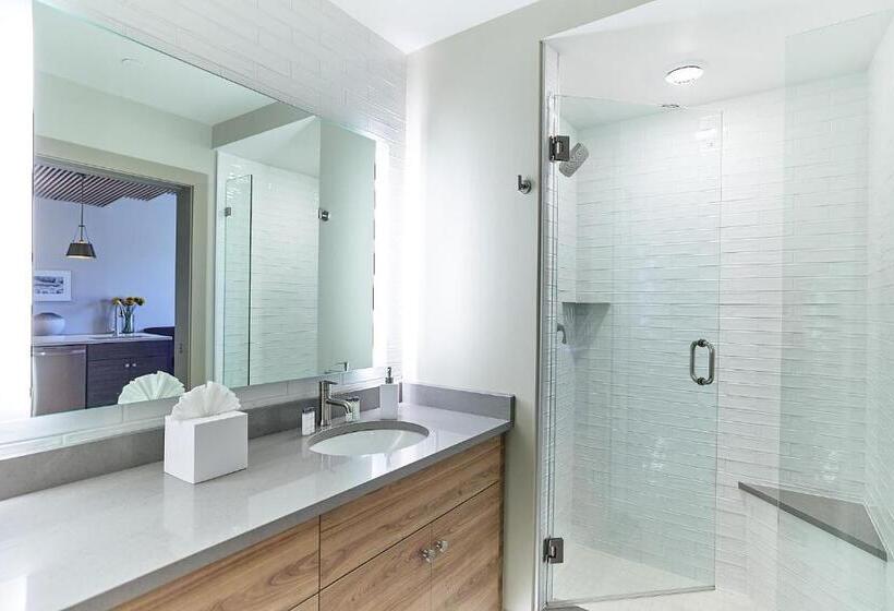 דירת חדר, The Docent S Collection