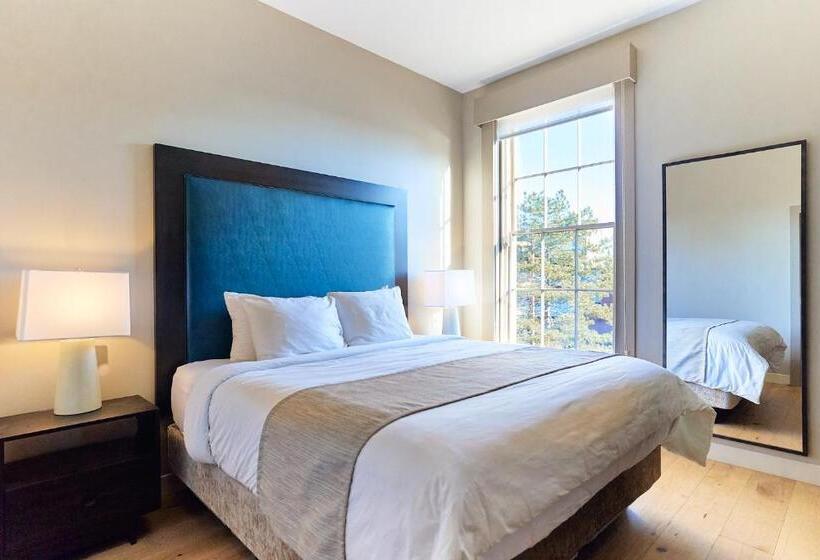 דירת חדר, The Docent S Collection