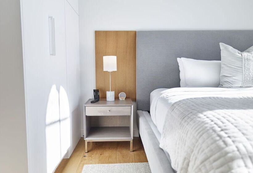 דירת שני חדרים, The Docent S Collection