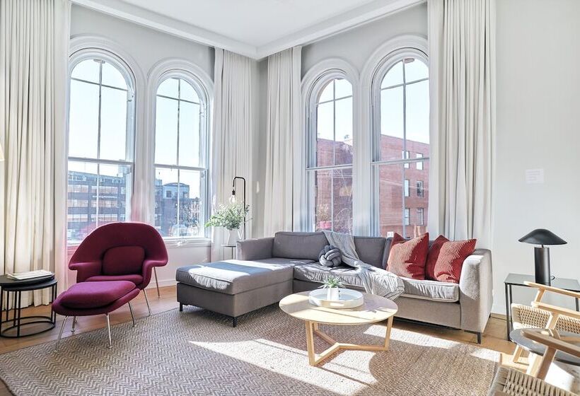 דירת שני חדרים, The Docent S Collection