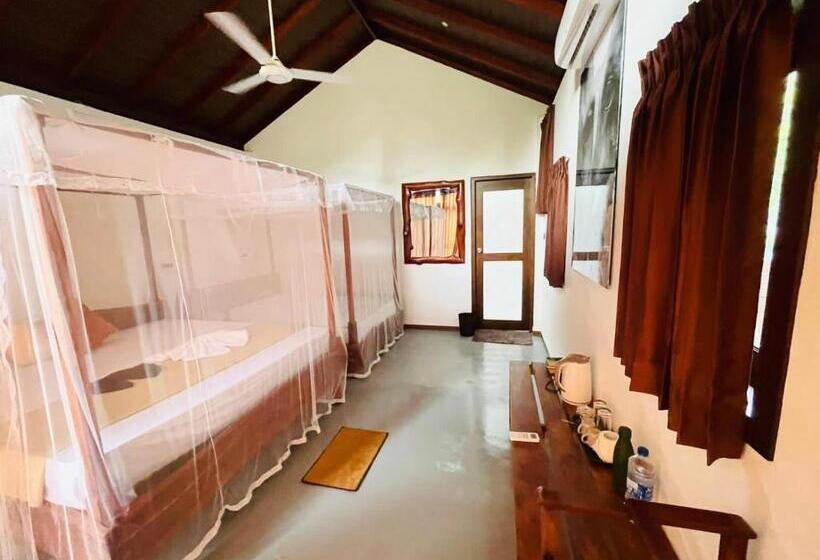 Family Suite, Mango Tree House