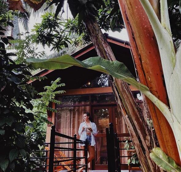 Шале Superior 1 Спальня, Mango Tree House