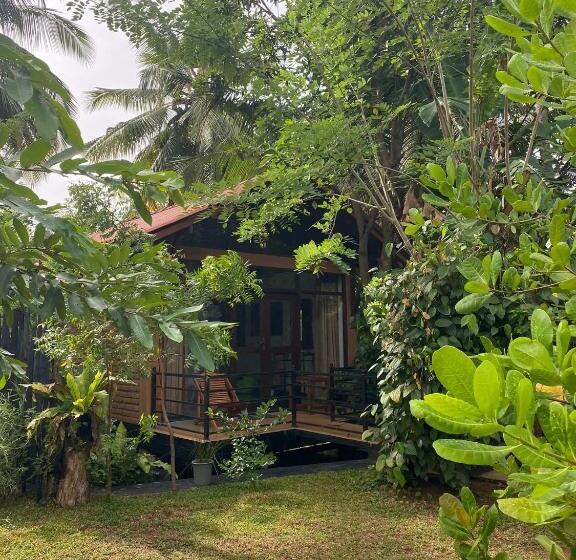 Шале Superior 1 Спальня, Mango Tree House