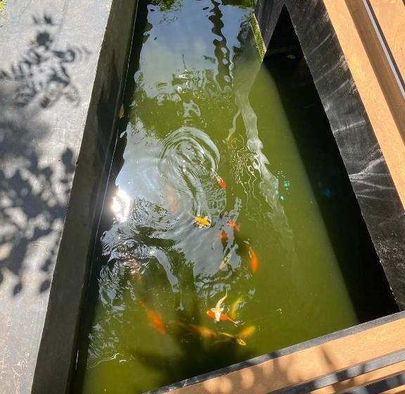 Шале Superior 1 Спальня, Mango Tree House