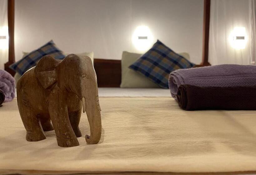 Family Suite, Mango Tree House