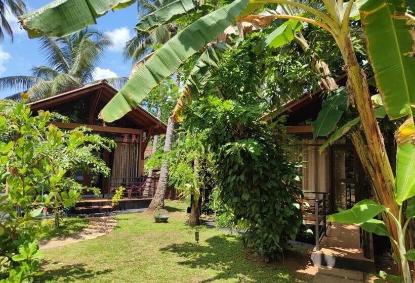 Family Suite, Mango Tree House