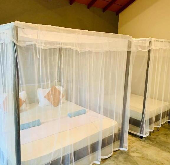 Трехместный Номер Deluxe, Mango Tree House