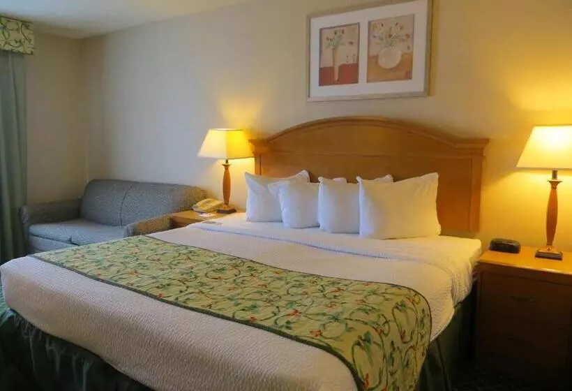سوئیت با تخت بزرگ, Baymont By Wyndham Kalamazoo East