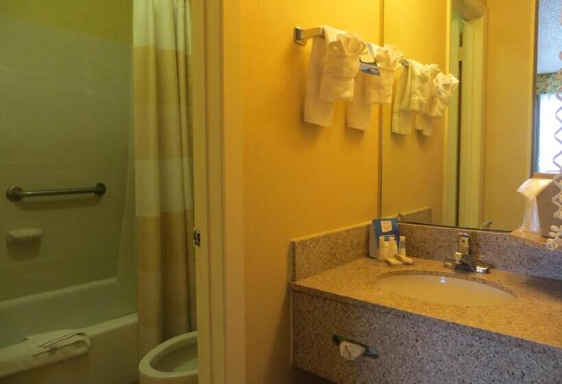 חדר סטנדרט, Baymont By Wyndham Kalamazoo East