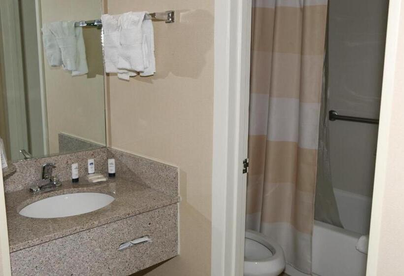 חדר סטנדרט שתי מיטות זוגיות, Baymont By Wyndham Kalamazoo East