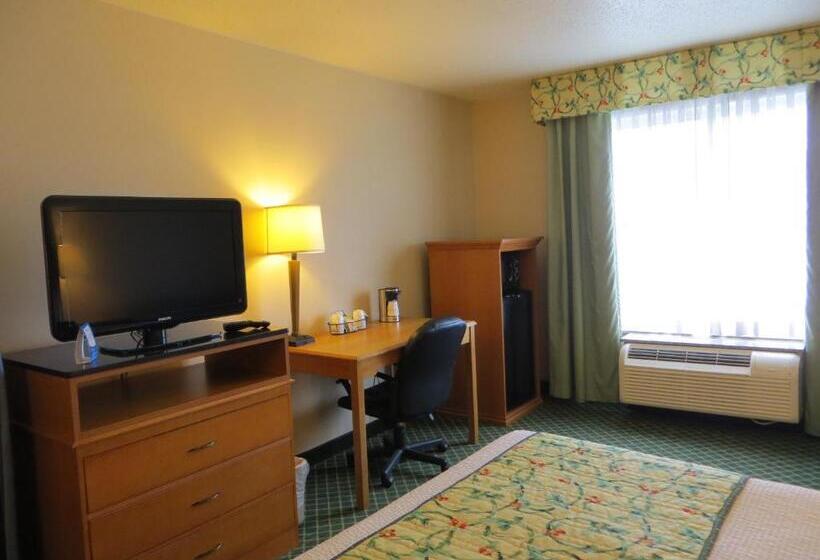 חדר סטנדרט עם מיטת קינג, Baymont By Wyndham Kalamazoo East