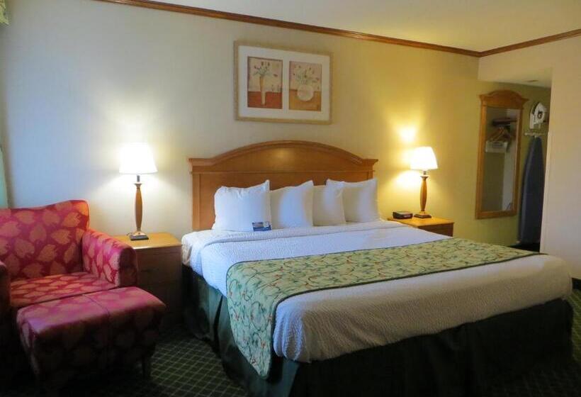 חדר דחוקס עם מיטת קינג, Baymont By Wyndham Kalamazoo East