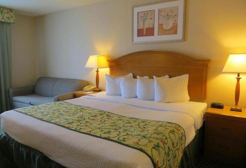 חדר דחוקס עם מיטת קינג, Baymont By Wyndham Kalamazoo East