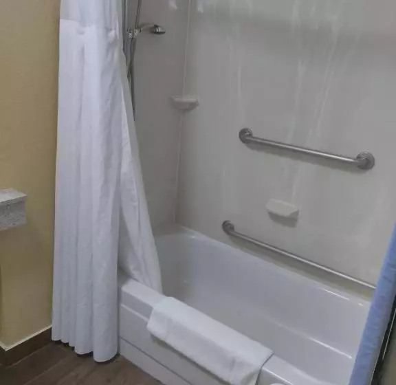身障者適用キングサイズベッドルーム, Baymont By Wyndham Madison Heights Detroit Area