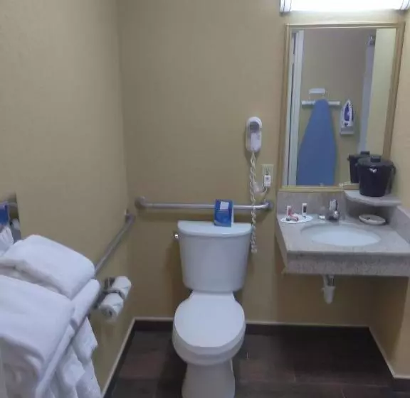 身障者適用キングサイズベッドルーム, Baymont By Wyndham Madison Heights Detroit Area