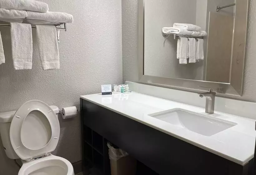 ２ダブルベッドのスタンダードルーム, Clarion Inn Near Wright Patterson  Dayton