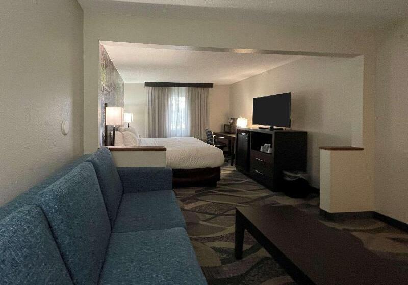 Люкс Кровать Кинг, Clarion Inn Near Wright Patterson  Dayton