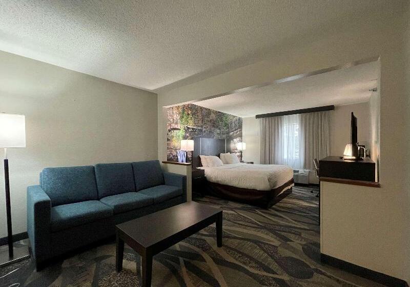 מיטת קינג בסוויטה, Clarion Inn Near Wright Patterson Dayton