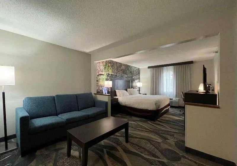 キングサイズベッドのスイートルーム, Clarion Inn Near Wright Patterson  Dayton
