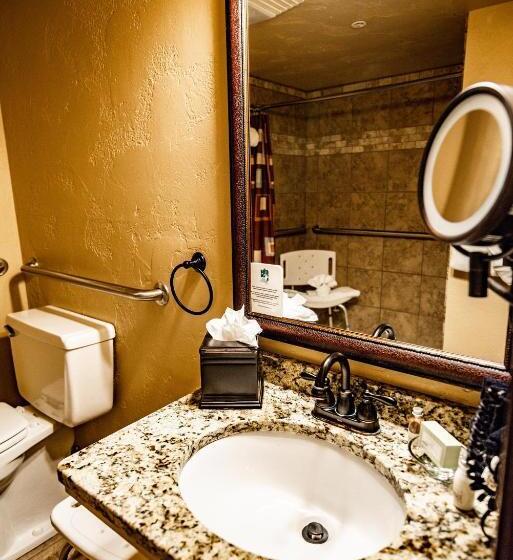 غرفة قياسية سرير كينج, Elk Country Inn