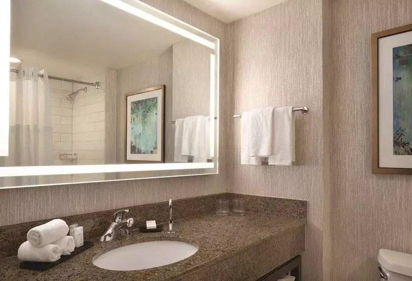 Sviitti, Embassy Suites By Hilton Atlanta At Centennial Olympic Park