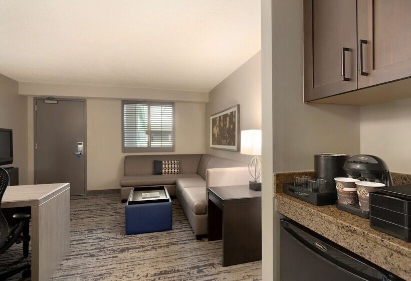 Люкс, Embassy Suites By Hilton Atlanta At Centennial Olympic Park