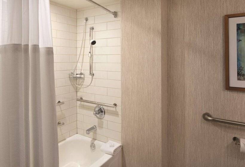 Люкс Адаптированный для Инвалидов, Embassy Suites By Hilton Atlanta At Centennial Olympic Park