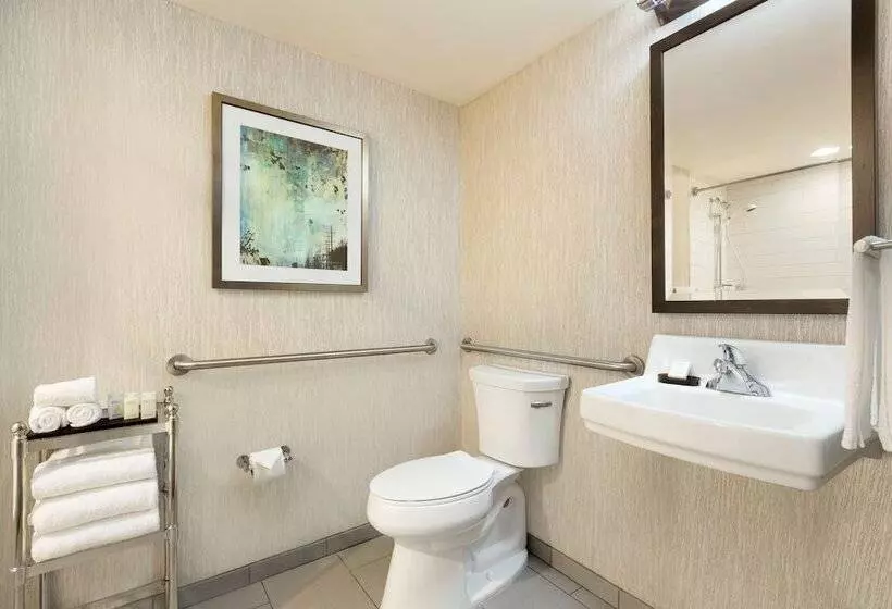 Sviitti Liikuntarajoitteisille, Embassy Suites By Hilton Atlanta At Centennial Olympic Park