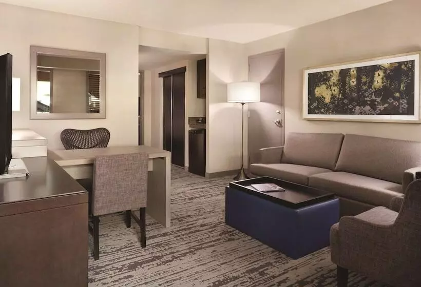 Sviitti Liikuntarajoitteisille, Embassy Suites By Hilton Atlanta At Centennial Olympic Park