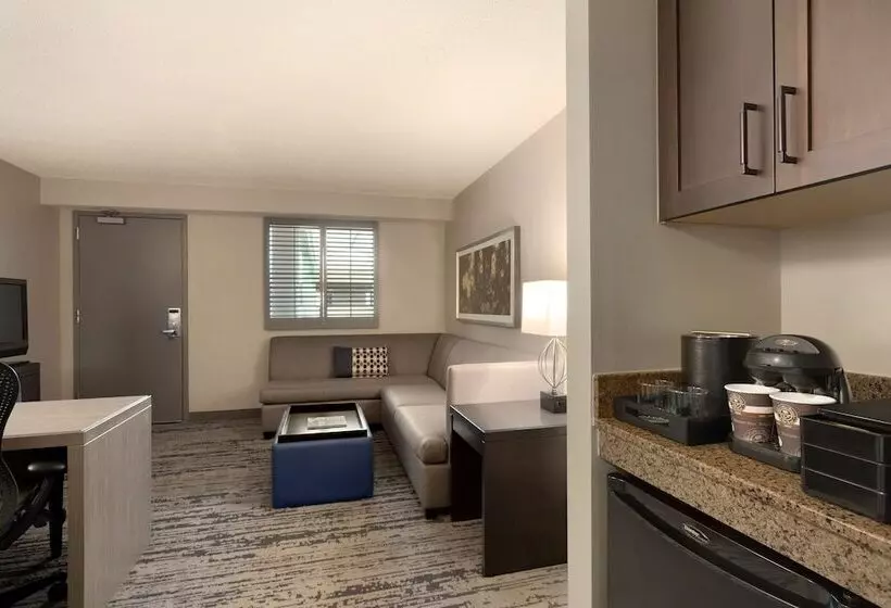 Sviitti Liikuntarajoitteisille, Embassy Suites By Hilton Atlanta At Centennial Olympic Park