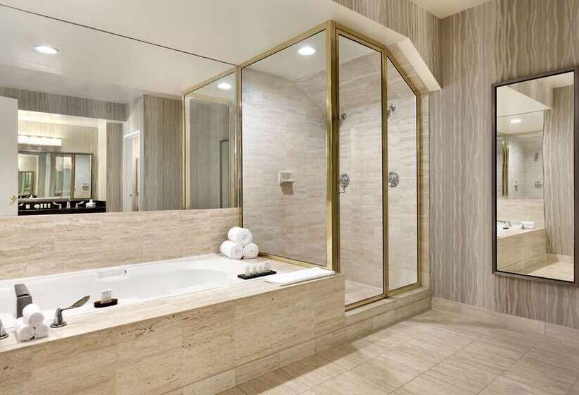 Номер Стандарт, Embassy Suites By Hilton Atlanta At Centennial Olympic Park