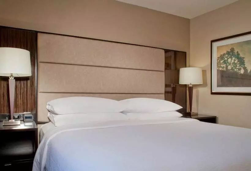 2ベッドスイートルーム, Embassy Suites By Hilton Houston Near The Galleria