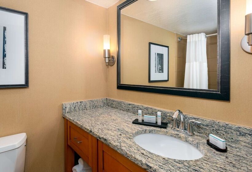 חדר סטנדרט שתי מיטות זוגיות, Embassy Suites By Hilton Kansas City International Airport