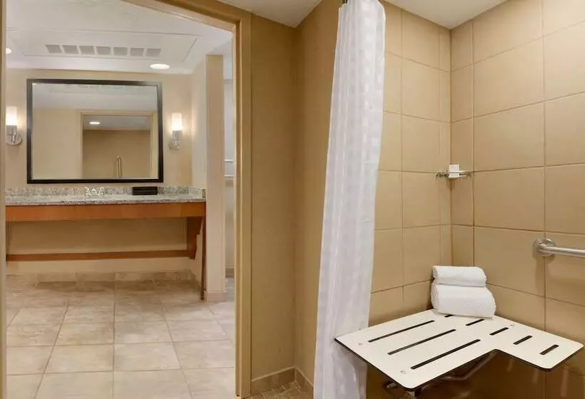 身障者適用スイートルーム, Embassy Suites By Hilton Kansas City International Airport