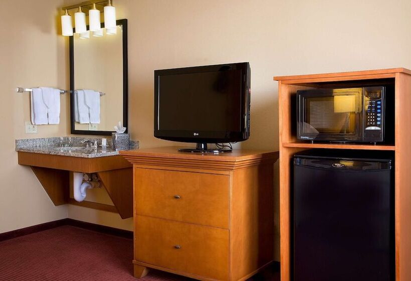 סוויטה מותאמת לאדם עם מוגבלויות, Embassy Suites By Hilton Kansas City International Airport