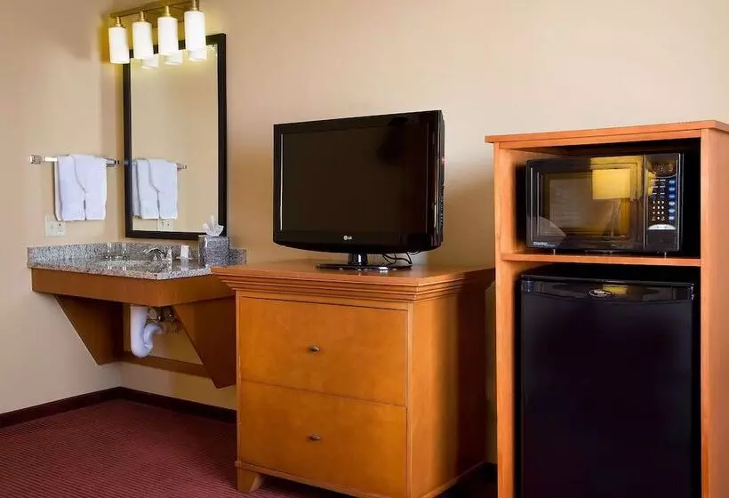身障者適用スイートルーム, Embassy Suites By Hilton Kansas City International Airport